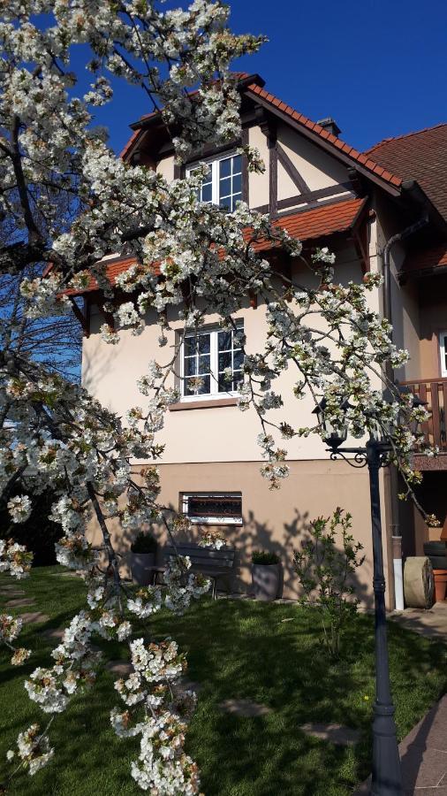 Gite "Le Platane" 45 M2 - Climatise Monswiller ภายนอก รูปภาพ