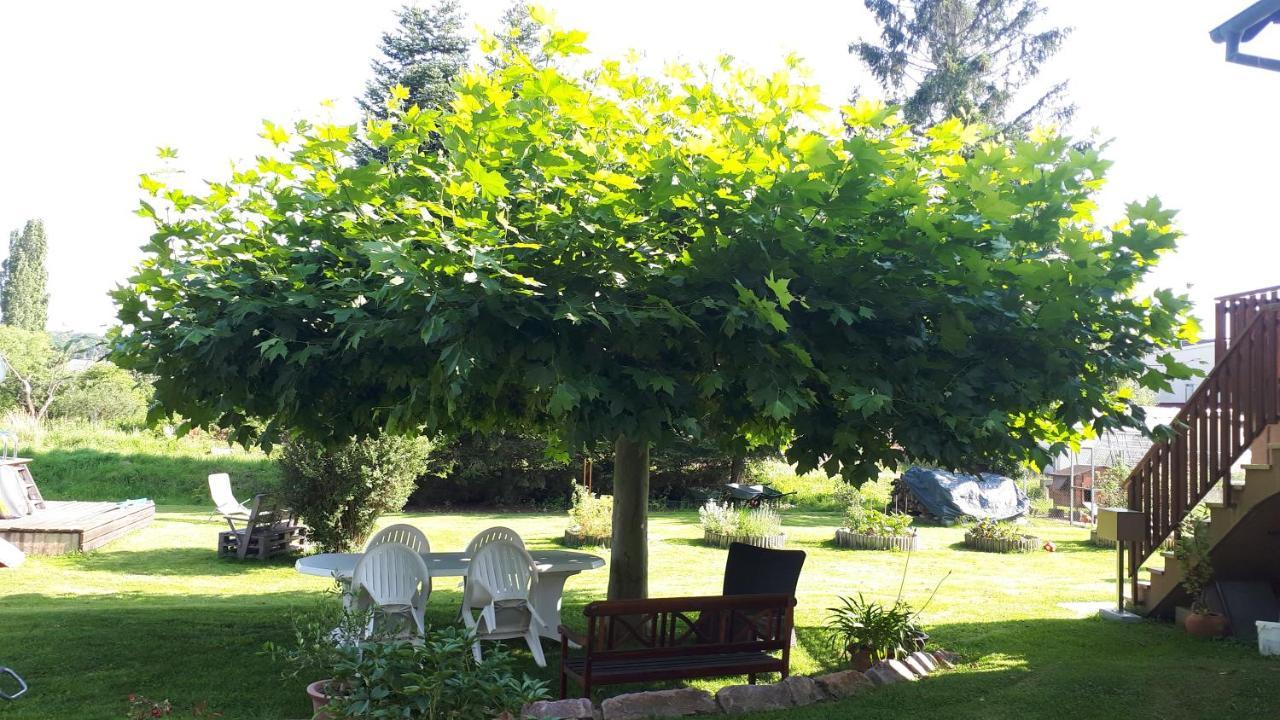 Gite "Le Platane" 45 M2 - Climatise Monswiller ภายนอก รูปภาพ