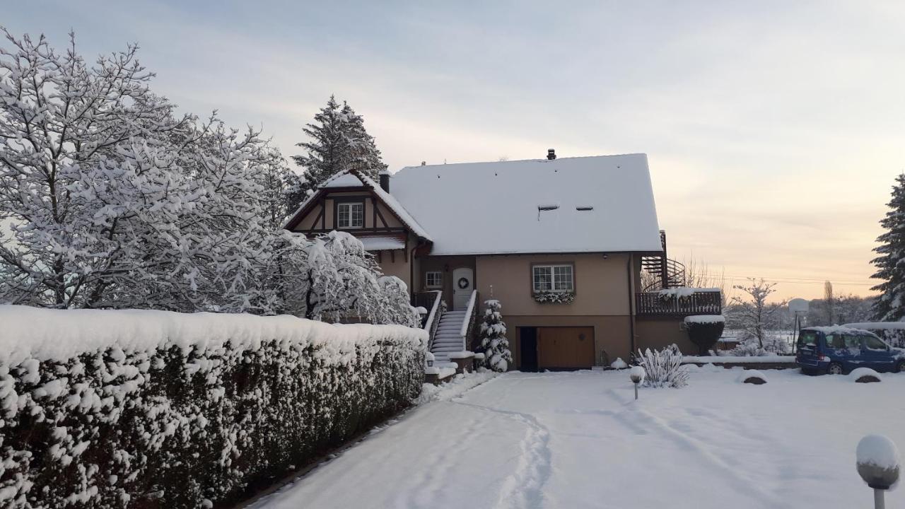 Gite "Le Platane" 45 M2 - Climatise Monswiller ภายนอก รูปภาพ